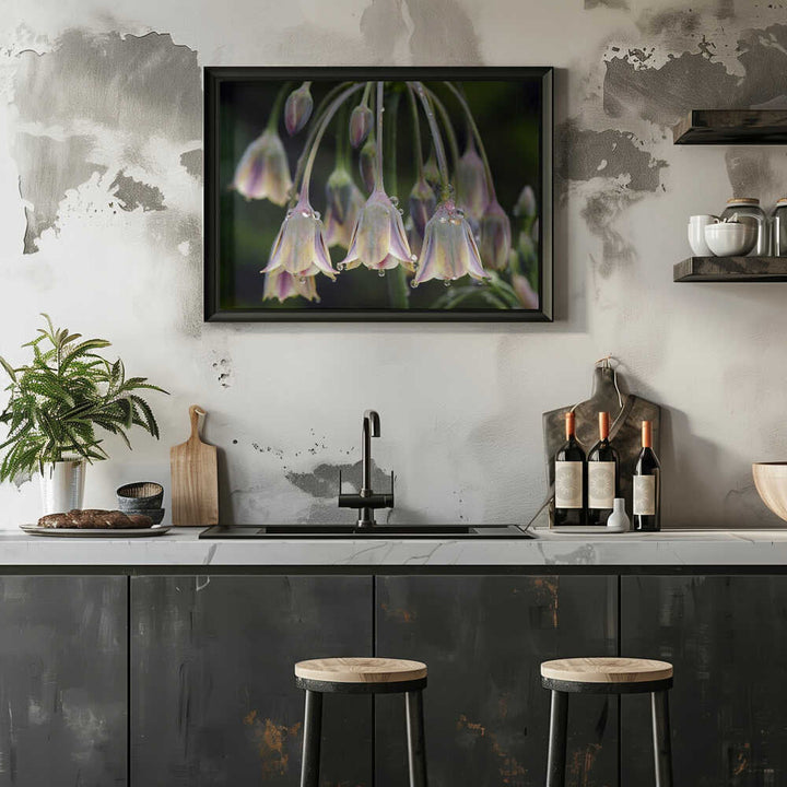 Dew Kissed Bells - Stretched Canvas Poster or Fine Art Print