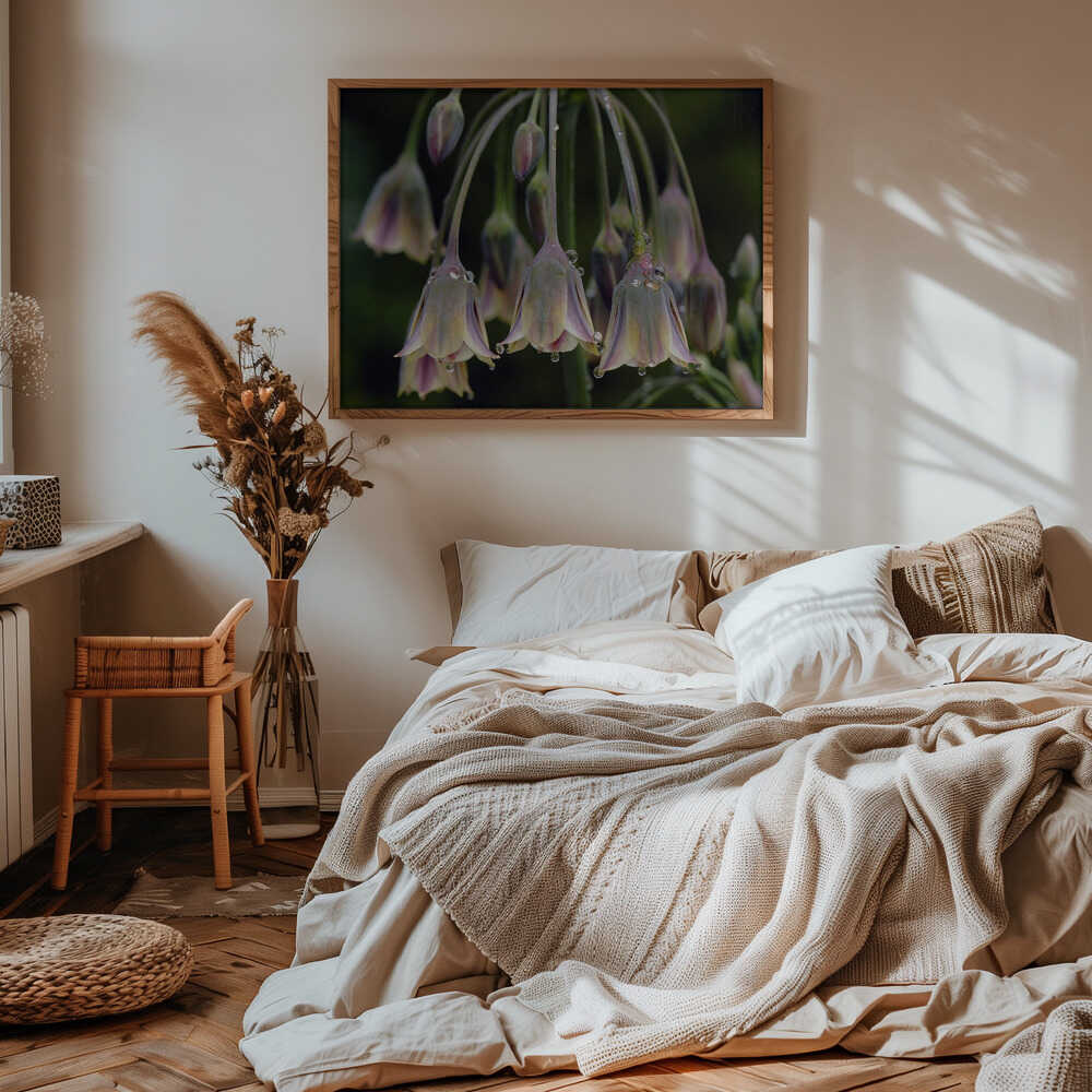 Dew Kissed Bells - Stretched Canvas Poster or Fine Art Print