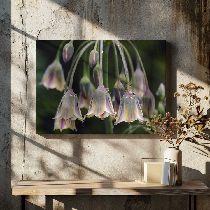 Dew Kissed Bells - Stretched Canvas Poster or Fine Art Print