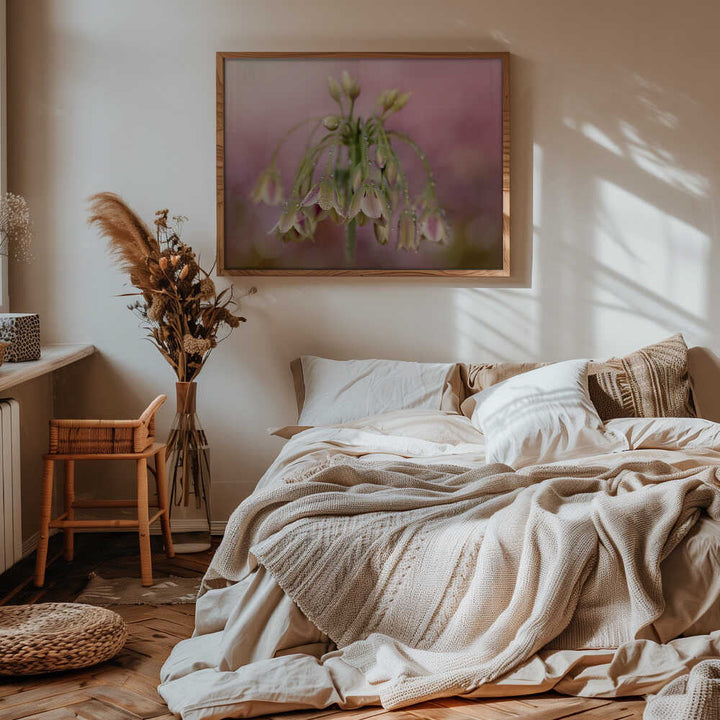 Dewy Pink Bellflowers - Floral Photographic Stretched Canvas Poster or Fine Art Print
