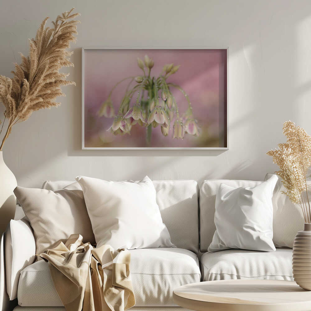 Dewy Pink Bellflowers - Floral Photographic Stretched Canvas Poster or Fine Art Print