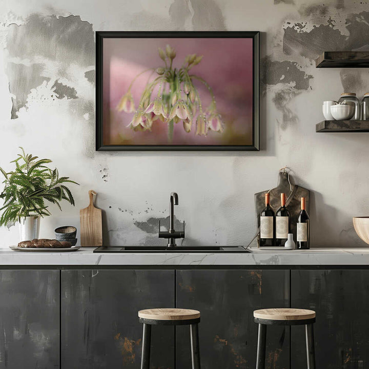 Dewy Pink Bellflowers - Floral Photographic Stretched Canvas Poster or Fine Art Print