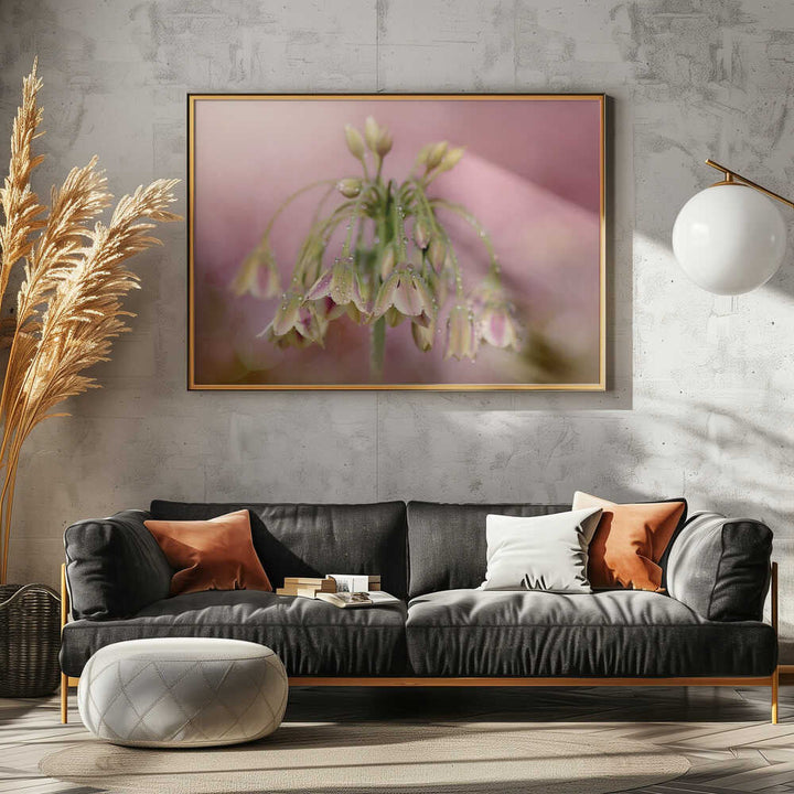 Dewy Pink Bellflowers - Floral Photographic Stretched Canvas Poster or Fine Art Print