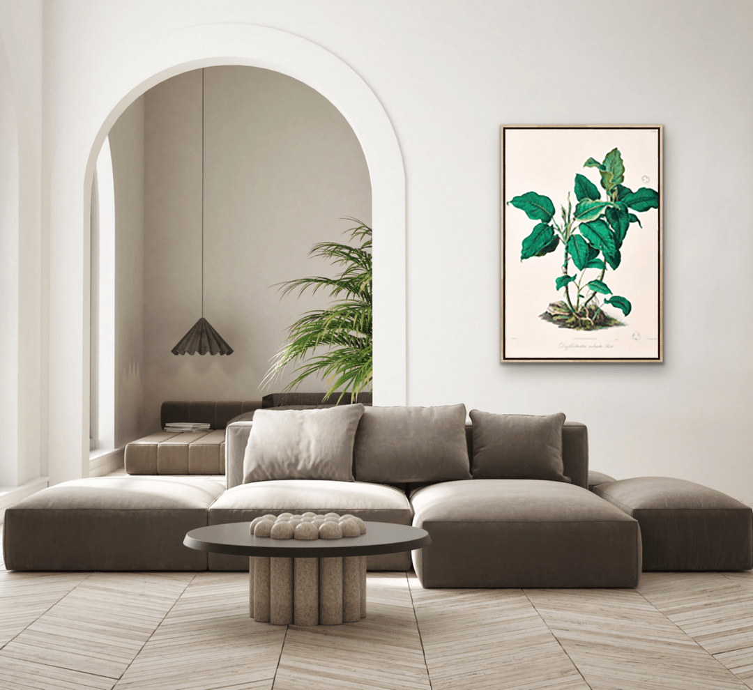 Dieffenbachia Robusta from Icones Aroidearum (1857) by Heinrich Wilhelm Schott - I Heart Wall Art - Poster Print, Canvas Print or Framed Art Print
