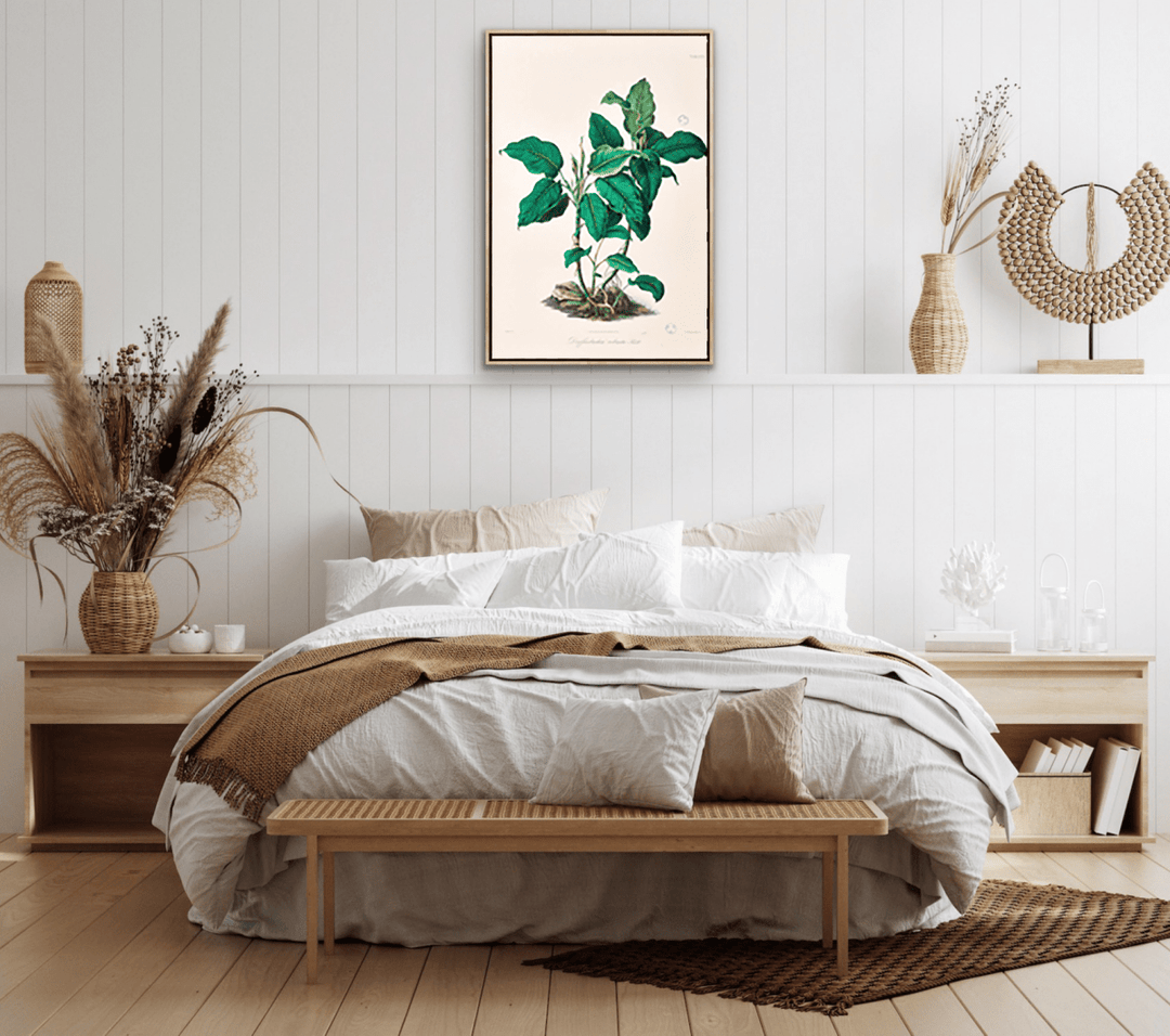 Dieffenbachia Robusta from Icones Aroidearum (1857) by Heinrich Wilhelm Schott - I Heart Wall Art - Poster Print, Canvas Print or Framed Art Print