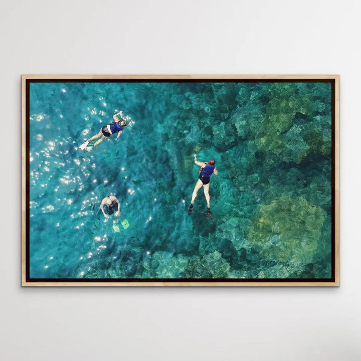 Dive On In- Aerial Photographic Snorkelling Diving Print Of Divers On A Reef I Heart Wall Art Australia 