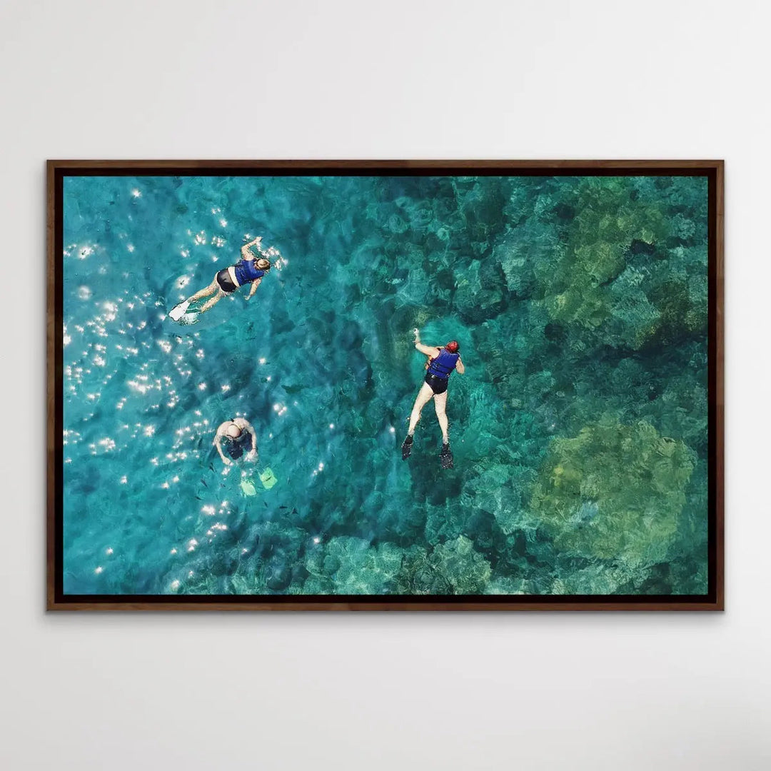 Dive On In- Aerial Photographic Snorkelling Diving Print Of Divers On A Reef I Heart Wall Art Australia 