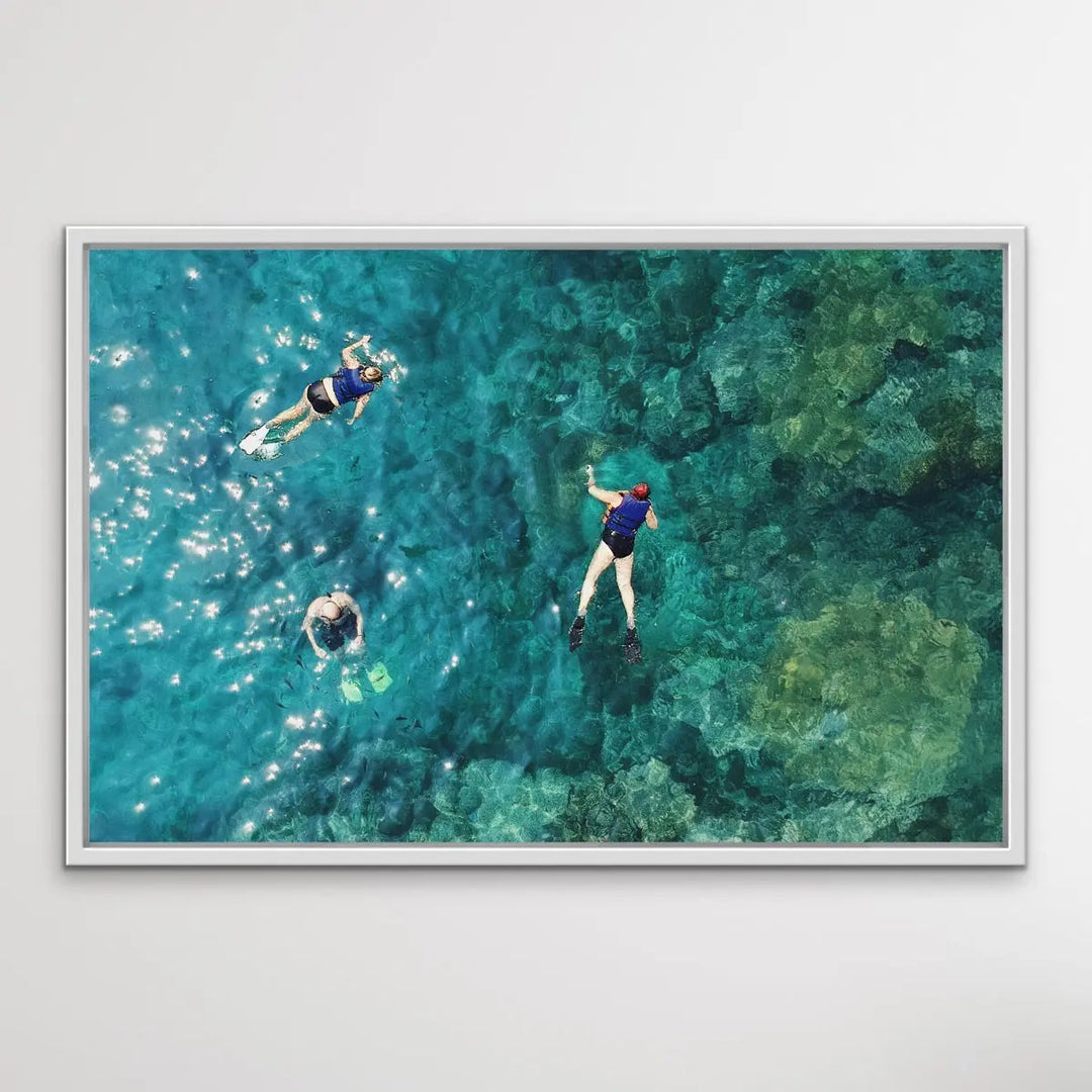 Dive On In- Aerial Photographic Snorkelling Diving Print Of Divers On A Reef I Heart Wall Art Australia 