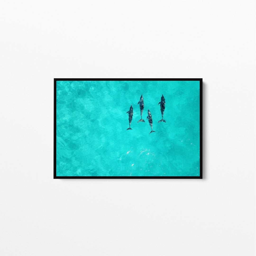 Dolphins - Beach Coastal Art Print Stretched Canvas Wall Art - I Heart Wall Art