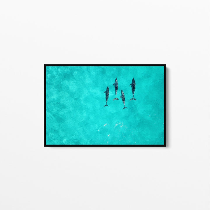 Dolphins - Beach Coastal Art Print Stretched Canvas Wall Art - I Heart Wall Art