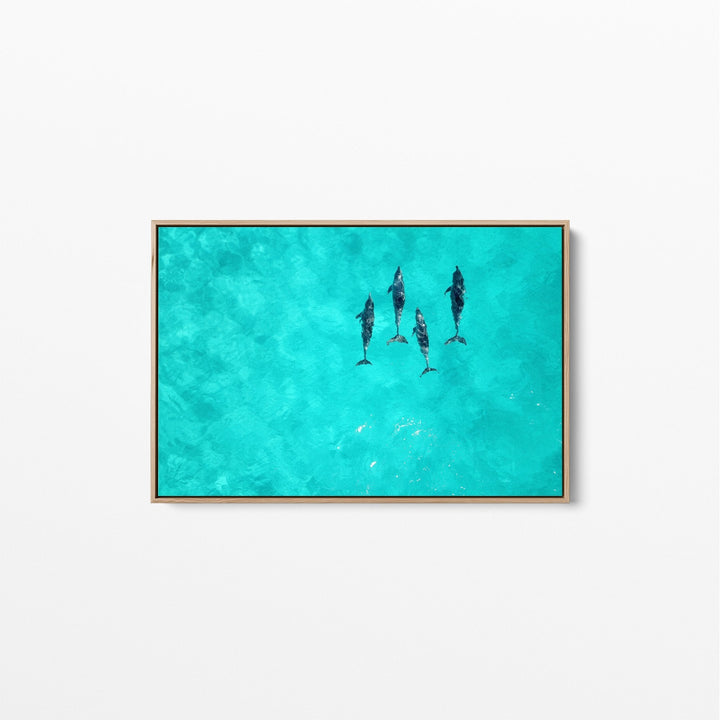 Dolphins - Beach Coastal Art Print Stretched Canvas Wall Art - I Heart Wall Art