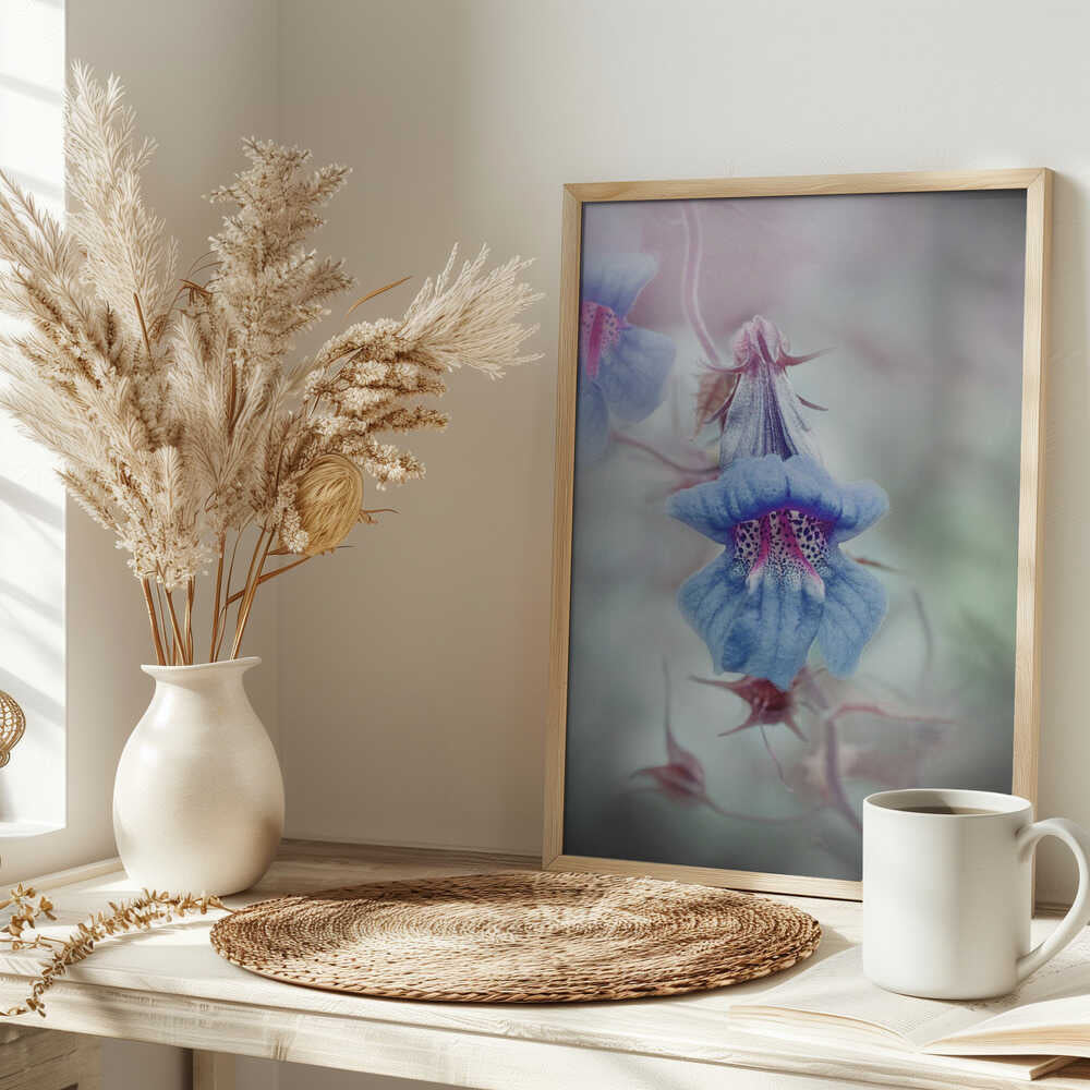 Dreamy Blue Bloom - Stretched Canvas Poster or Fine Art Print