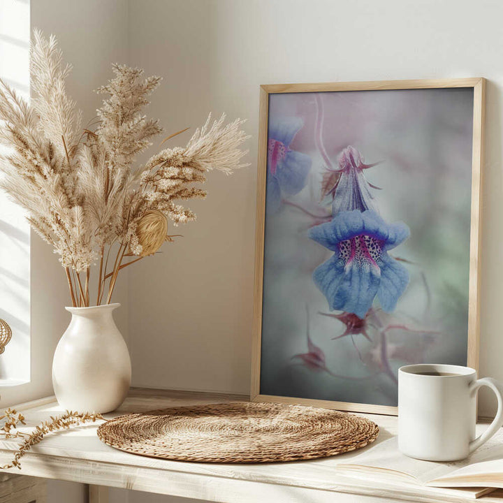 Dreamy Blue Bloom - Stretched Canvas Poster or Fine Art Print
