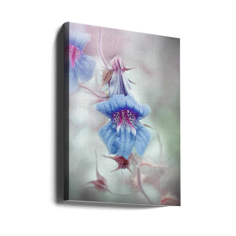 Dreamy Blue Bloom - Stretched Canvas Poster or Fine Art Print