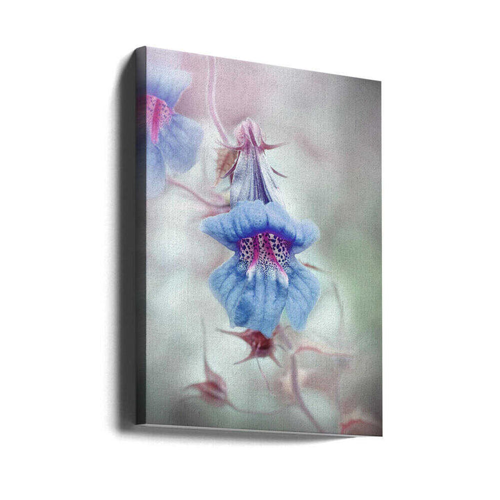 Dreamy Blue Bloom - Stretched Canvas Poster or Fine Art Print