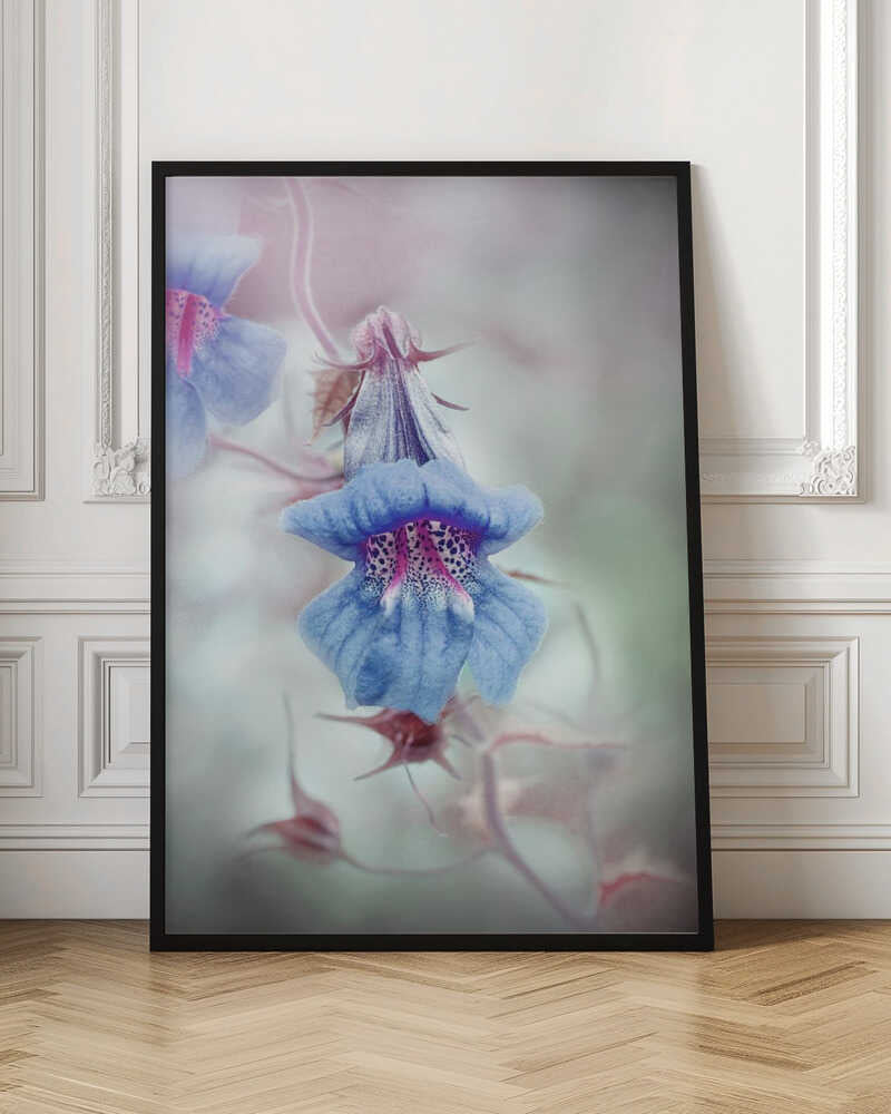 Dreamy Blue Bloom - Stretched Canvas Poster or Fine Art Print