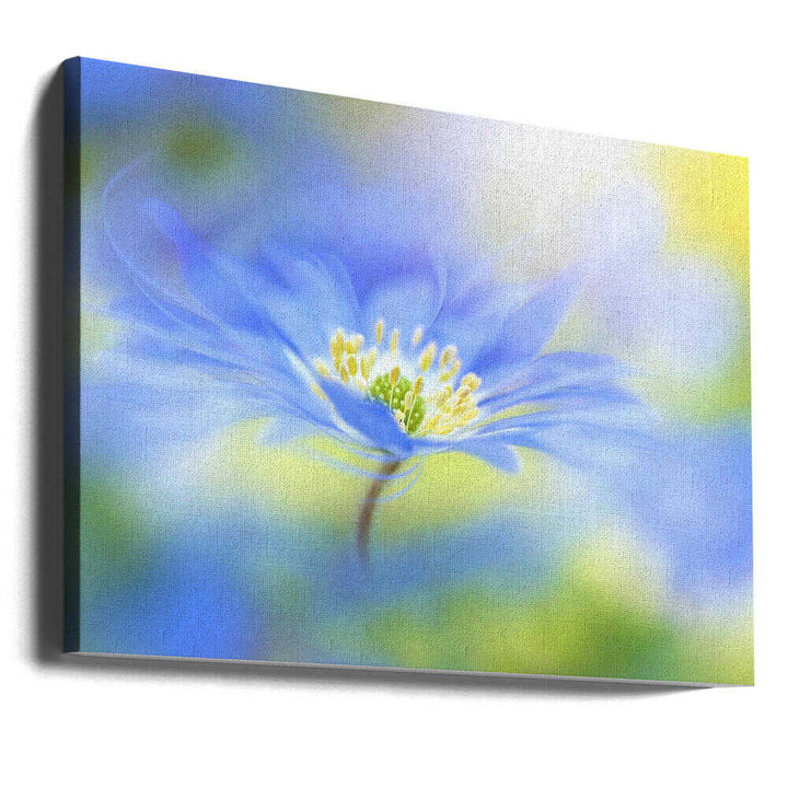 Dreamy Blue Blossom - Floral Photographic Stretched Canvas Poster or Fine Art Print