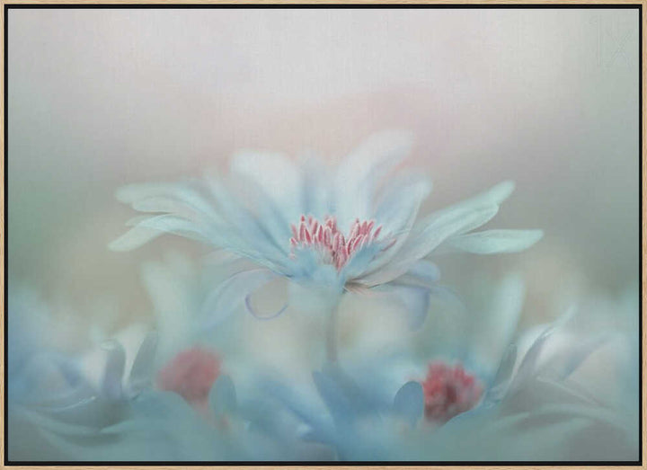 Dreamy Blue Blossoms - Stretched Canvas Poster or Fine Art Print