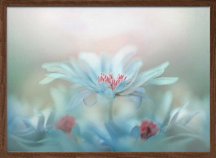 Dreamy Blue Blossoms - Stretched Canvas Poster or Fine Art Print