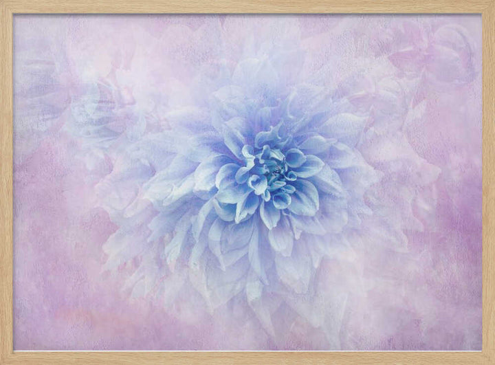 Dreamy Blue Dahlia - Floral Photographic Stretched Canvas Poster or Fine Art Print