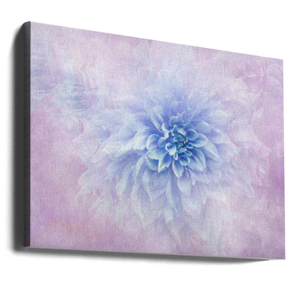 Dreamy Blue Dahlia - Floral Photographic Stretched Canvas Poster or Fine Art Print