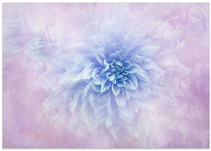 Dreamy Blue Dahlia - Floral Photographic Stretched Canvas Poster or Fine Art Print