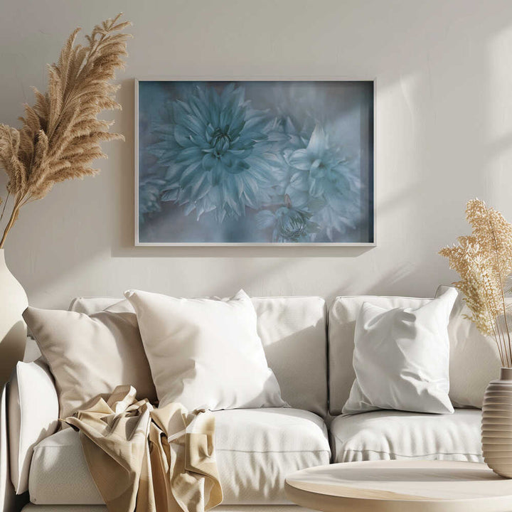 Dreamy Blue Dahlias - Floral Photographic Stretched Canvas Poster or Fine Art Print