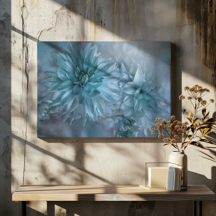 Dreamy Blue Dahlias - Floral Photographic Stretched Canvas Poster or Fine Art Print
