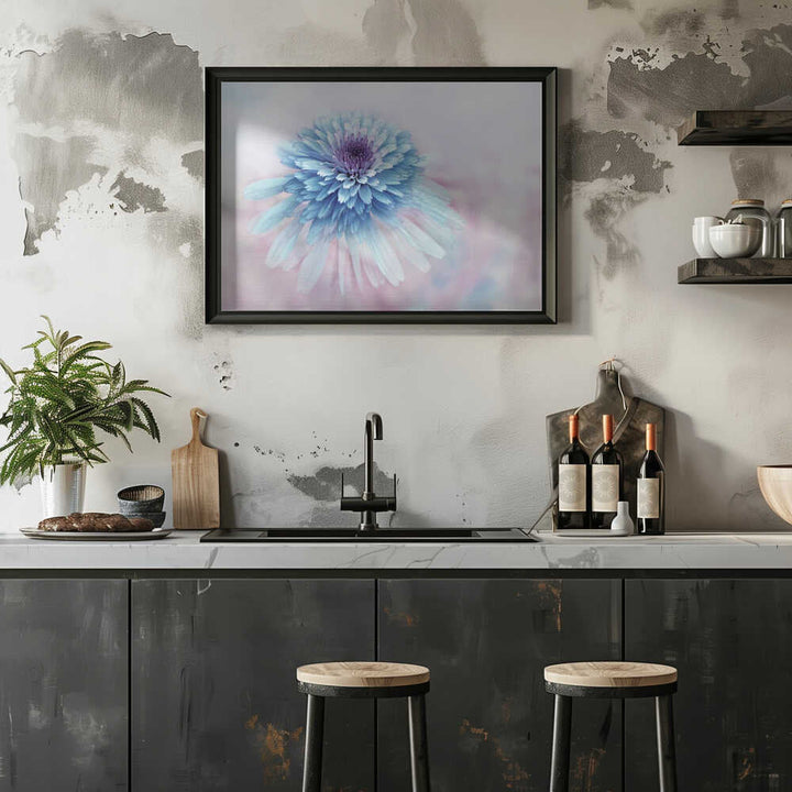 Dreamy Blue Flower - Floral Photographic Stretched Canvas Poster or Fine Art Print