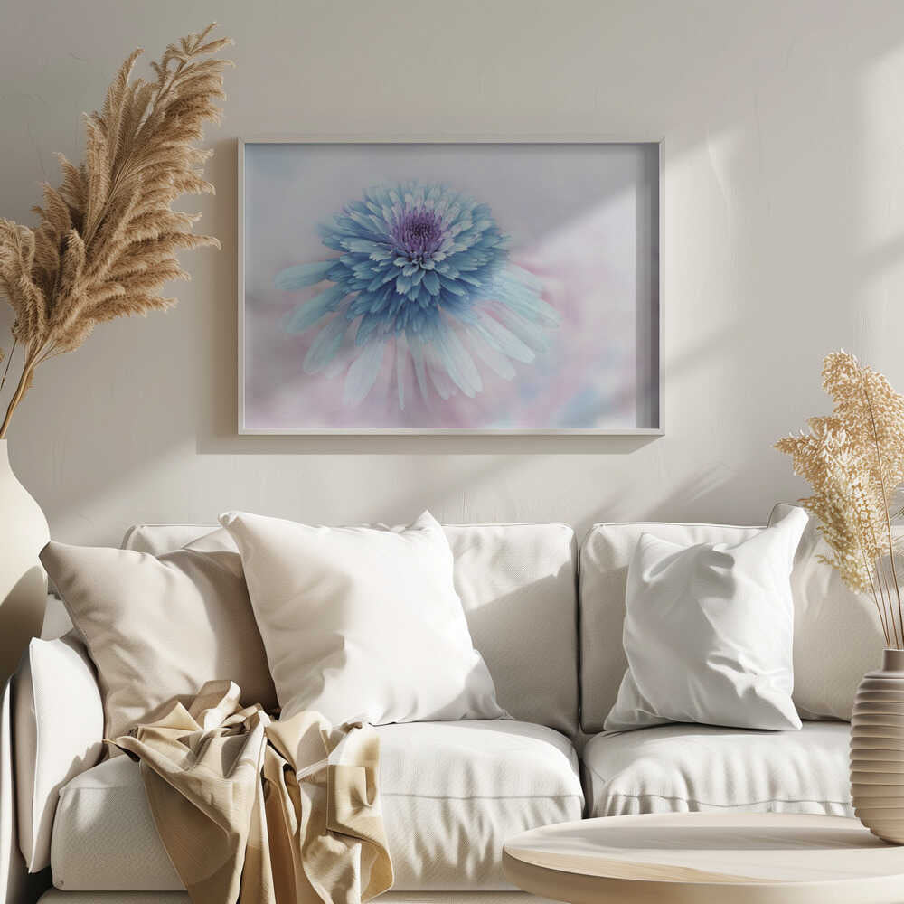 Dreamy Blue Flower - Floral Photographic Stretched Canvas Poster or Fine Art Print