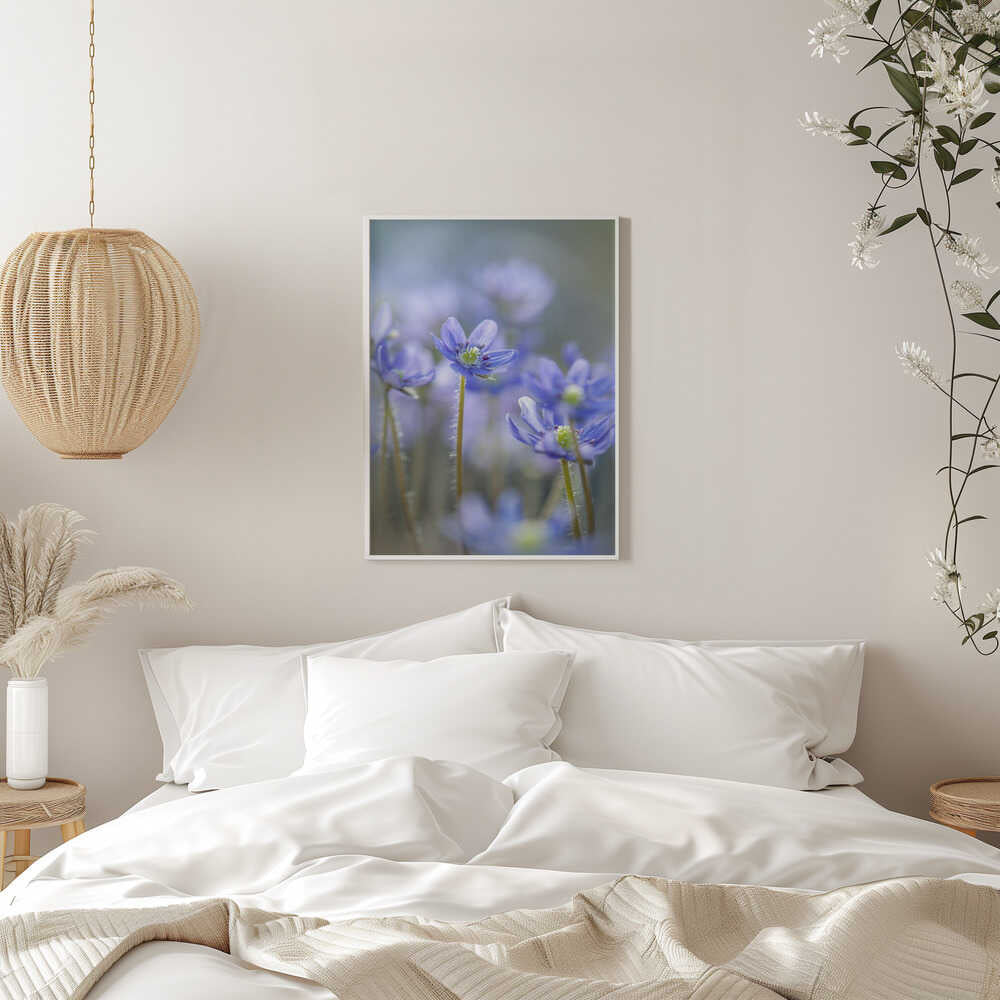 Dreamy Blue Flowers - Floral Photographic Stretched Canvas Poster or Fine Art Print
