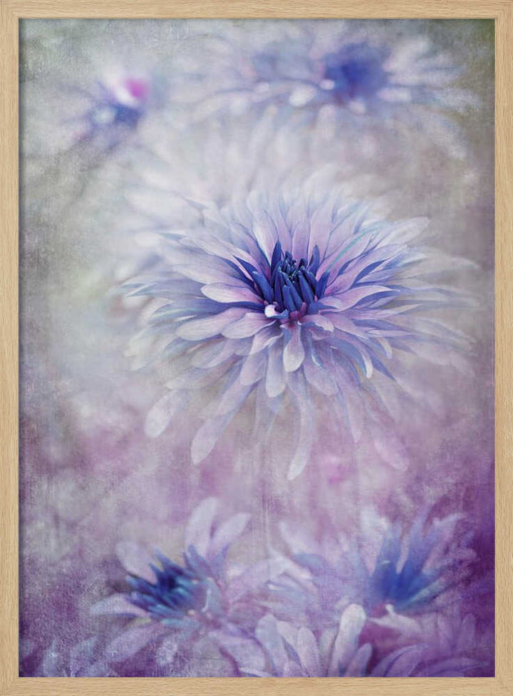 Dreamy Blue Flowers - Floral Photographic Stretched Canvas Poster or Fine Art Print