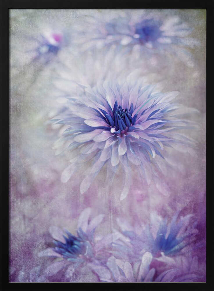 Dreamy Blue Flowers - Floral Photographic Stretched Canvas Poster or Fine Art Print