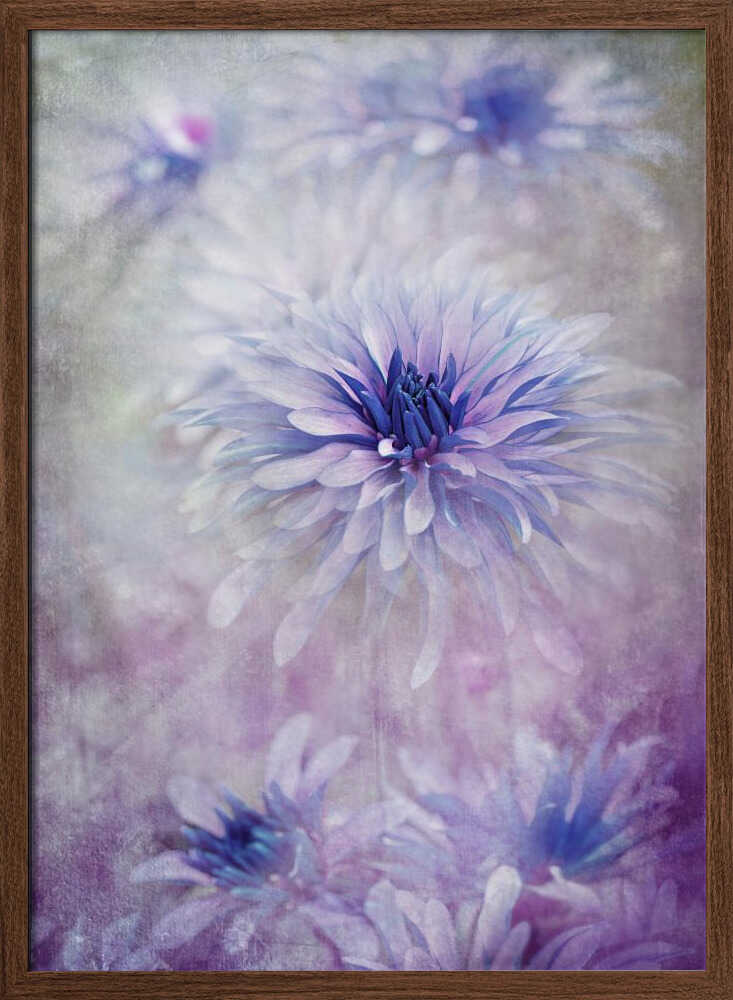 Dreamy Blue Flowers - Floral Photographic Stretched Canvas Poster or Fine Art Print