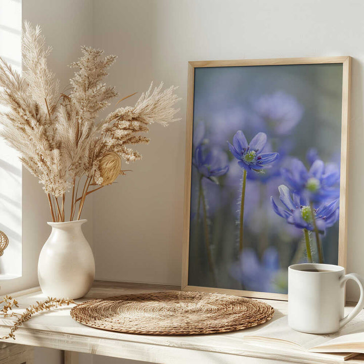 Dreamy Blue Flowers - Floral Photographic Stretched Canvas Poster or Fine Art Print