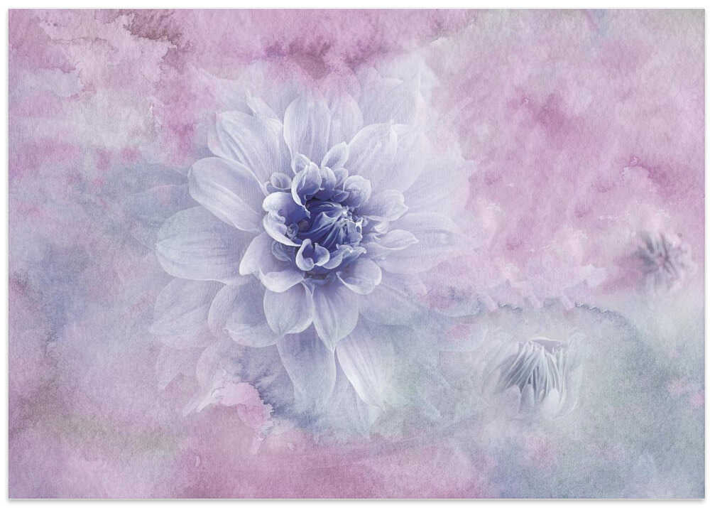 Dreamy Dahlia Blossom - Floral Photographic Stretched Canvas Poster or Fine Art Print