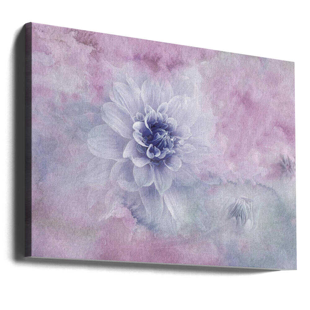 Dreamy Dahlia Blossom - Floral Photographic Stretched Canvas Poster or Fine Art Print