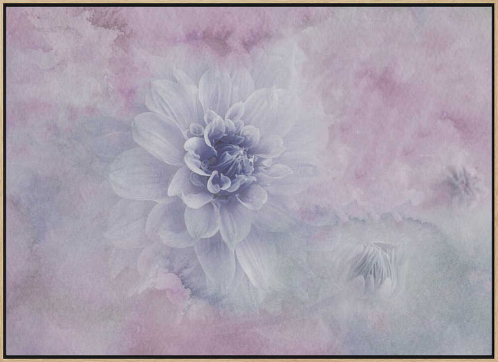 Dreamy Dahlia Blossom - Floral Photographic Stretched Canvas Poster or Fine Art Print