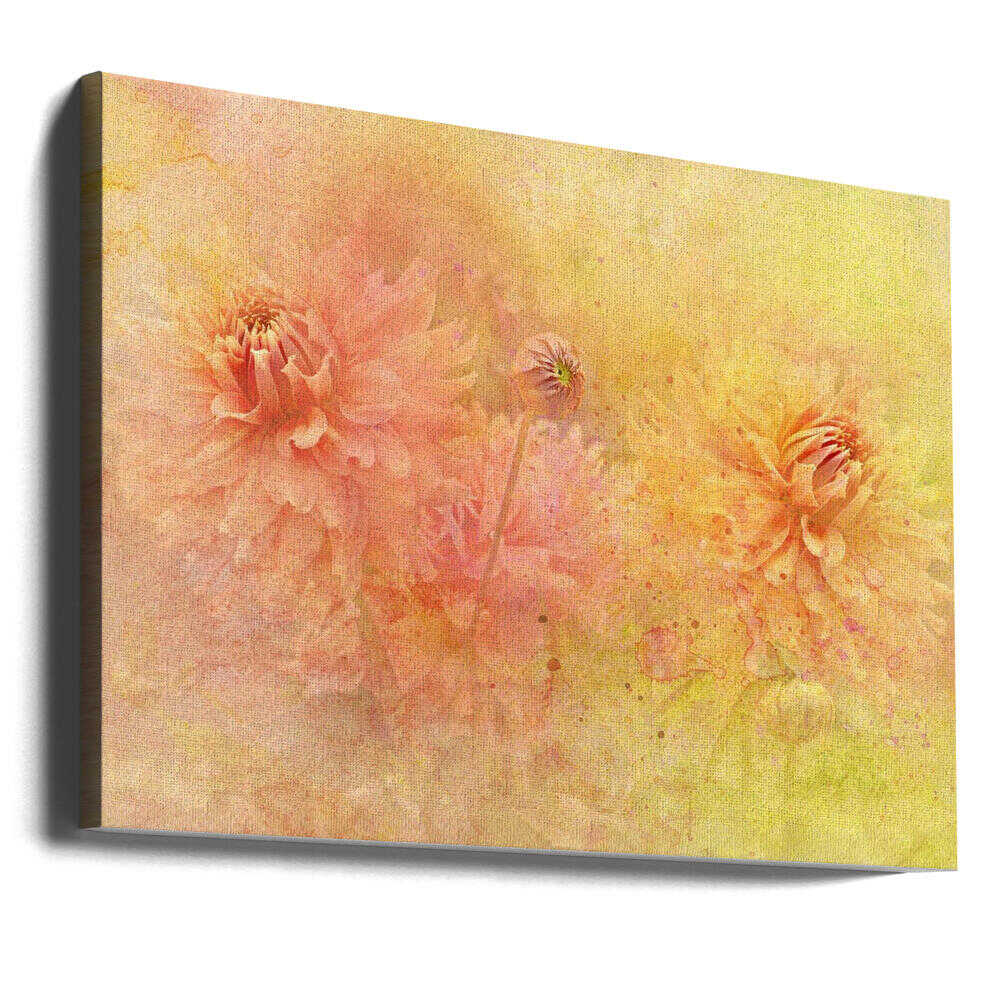 Dreamy Dahlia Garden - Floral Photographic Stretched Canvas Poster or Fine Art Print