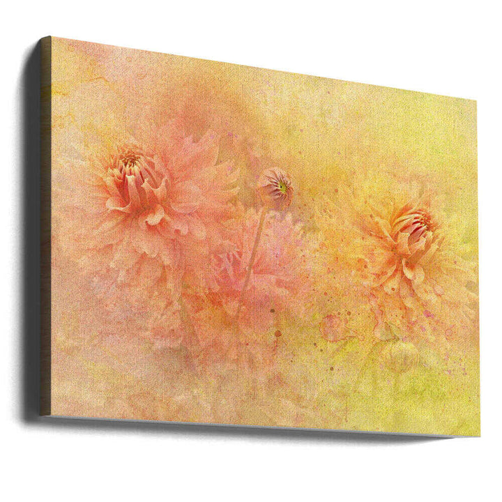 Dreamy Dahlia Garden - Floral Photographic Stretched Canvas Poster or Fine Art Print