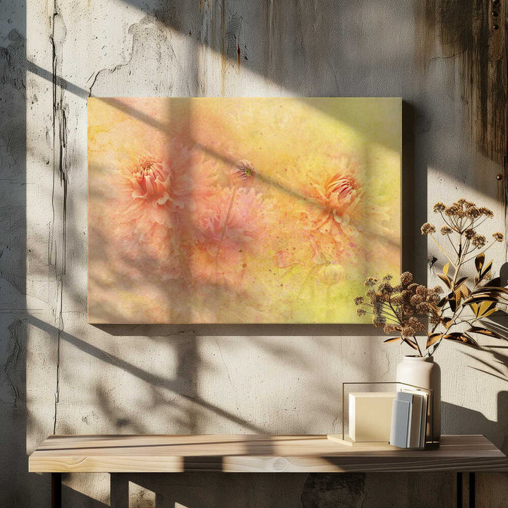 Dreamy Dahlia Garden - Floral Photographic Stretched Canvas Poster or Fine Art Print