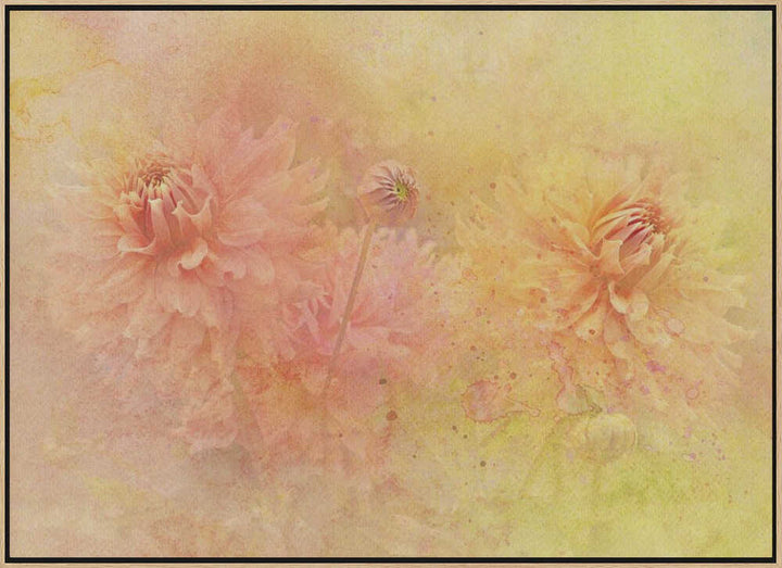 Dreamy Dahlia Garden - Floral Photographic Stretched Canvas Poster or Fine Art Print