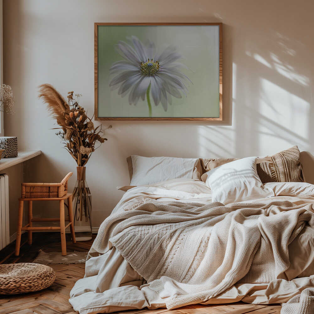 Dreamy Daisy Bloom - Floral Photographic Stretched Canvas Poster or Fine Art Print