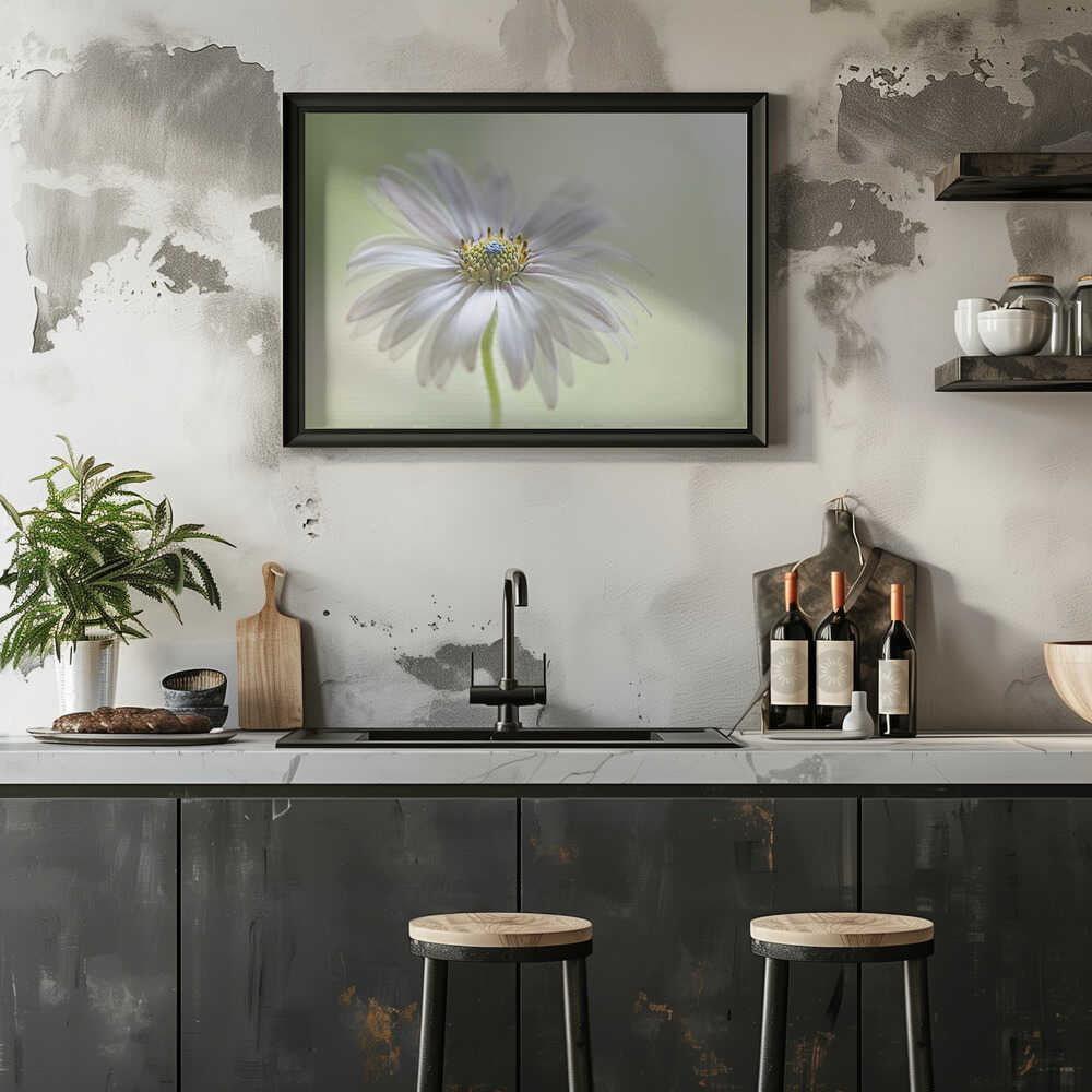 Dreamy Daisy Bloom - Floral Photographic Stretched Canvas Poster or Fine Art Print