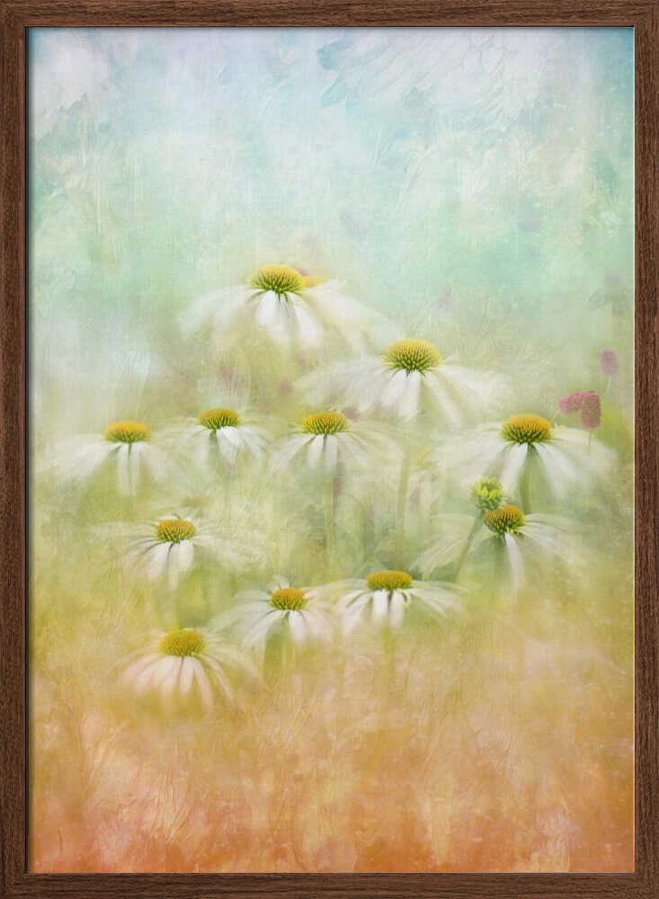 Dreamy Daisy Field - Floral Photographic Stretched Canvas Poster or Fine Art Print
