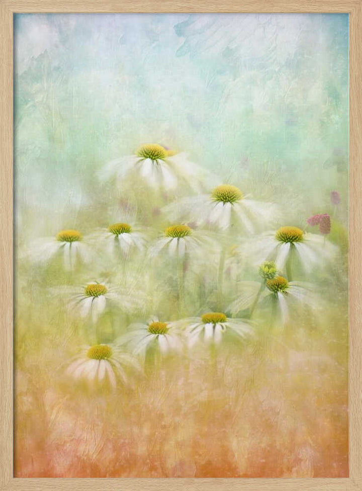 Dreamy Daisy Field - Floral Photographic Stretched Canvas Poster or Fine Art Print