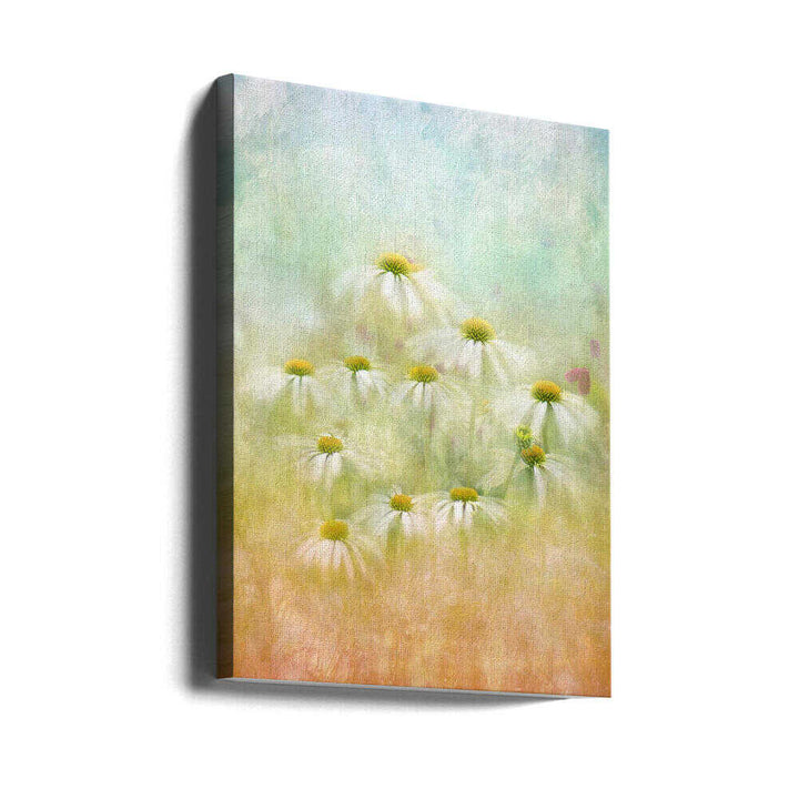 Dreamy Daisy Field - Floral Photographic Stretched Canvas Poster or Fine Art Print