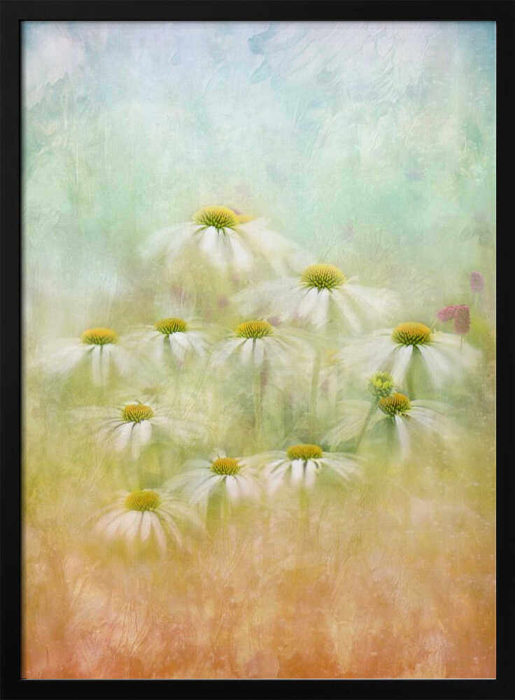 Dreamy Daisy Field - Floral Photographic Stretched Canvas Poster or Fine Art Print