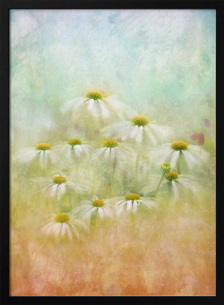 Dreamy Daisy Field - Floral Photographic Stretched Canvas Poster or Fine Art Print