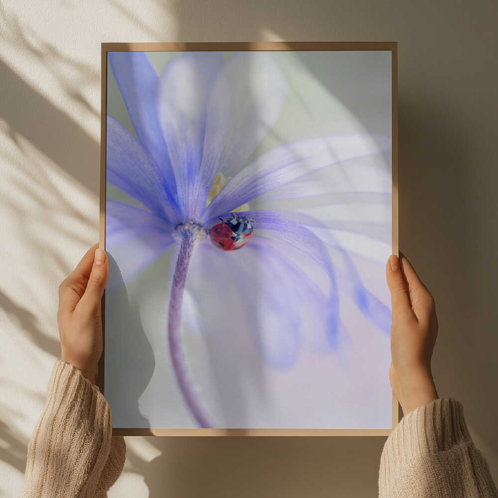 Dreamy Ladybug Flower - Stretched Canvas Poster or Fine Art Print